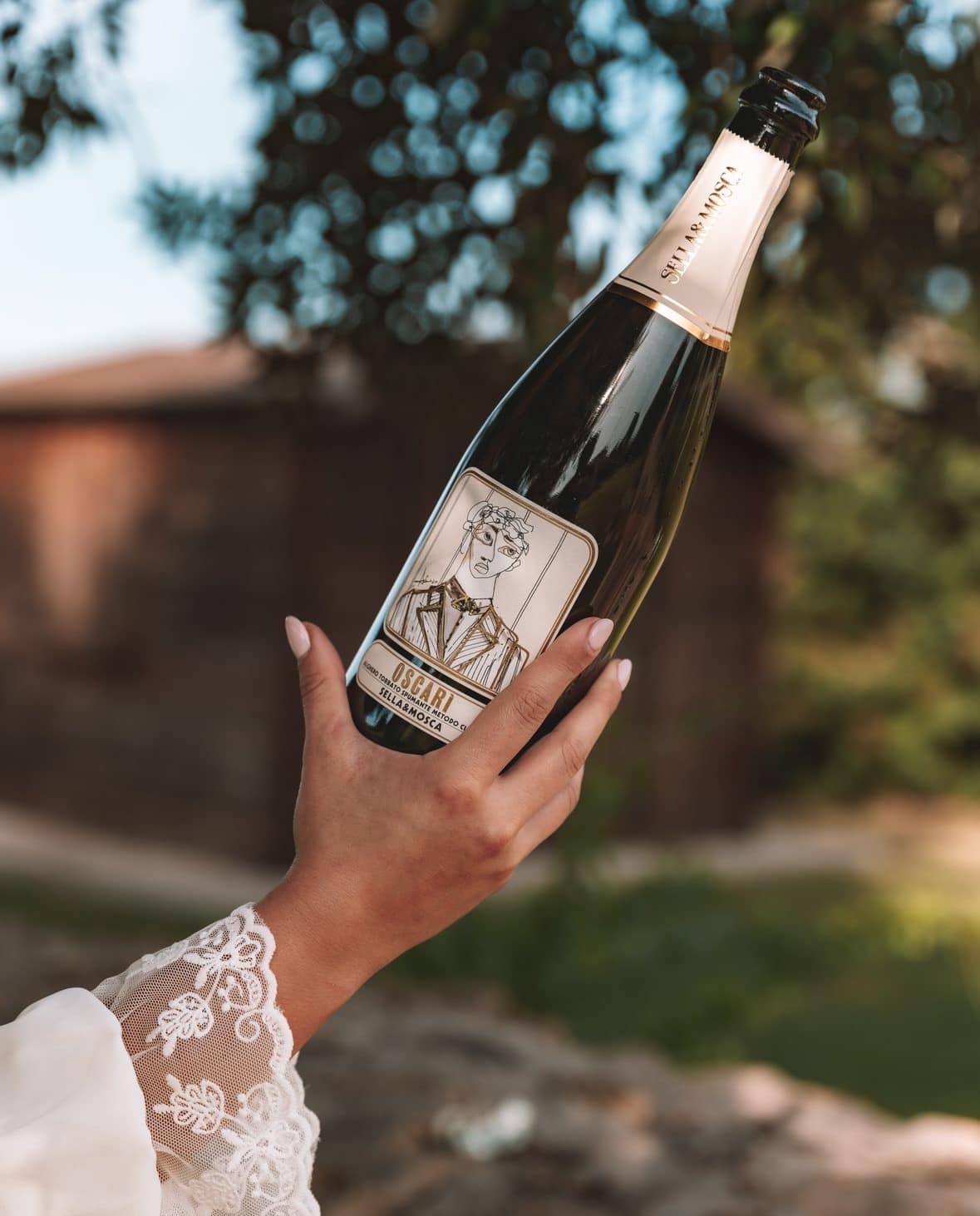 vini naturali pula vini naturali pula