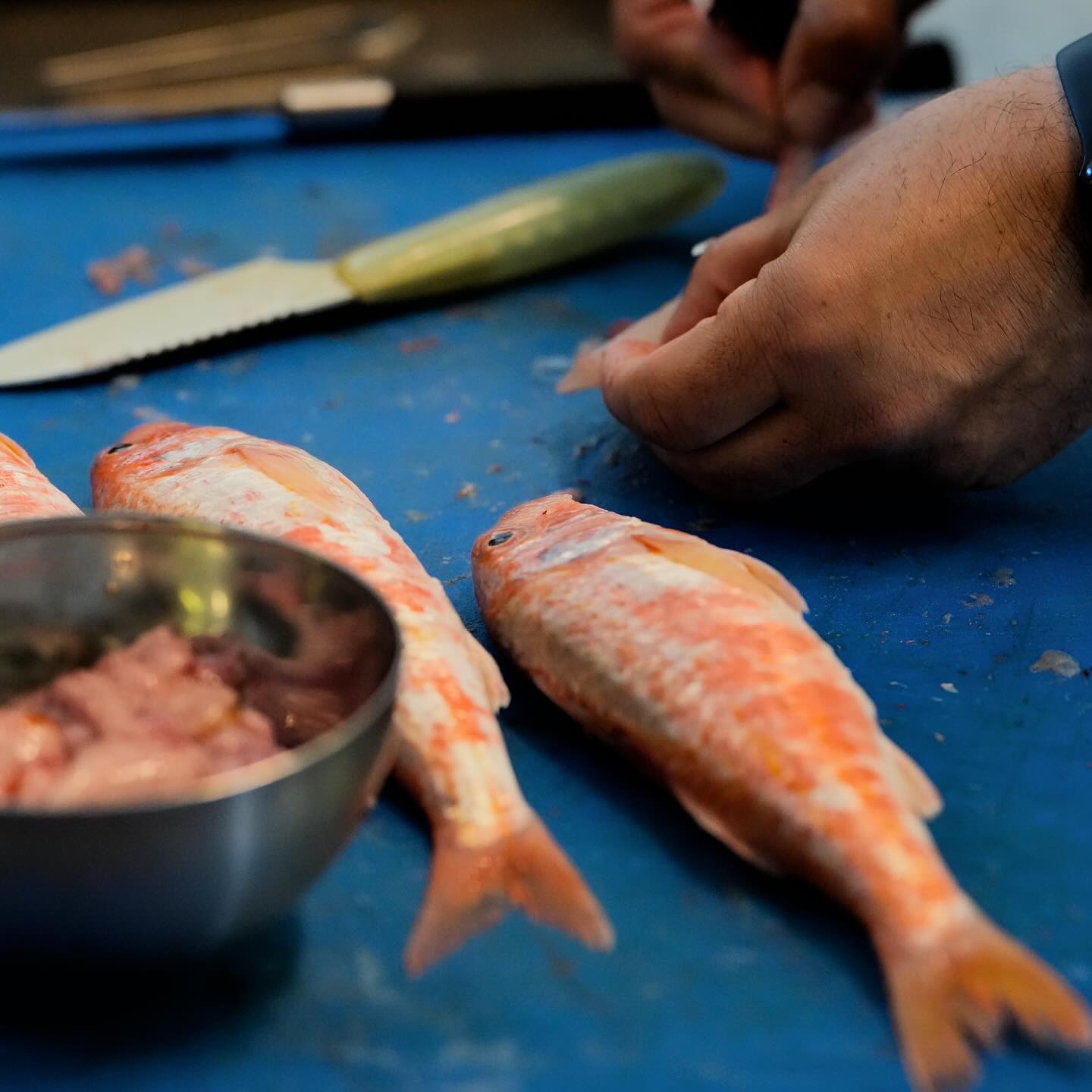 cucina di pesce a pula cucina di pesce a pula